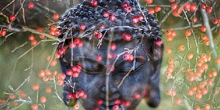 An Ancient Tradition Meets Modern Neuroscience