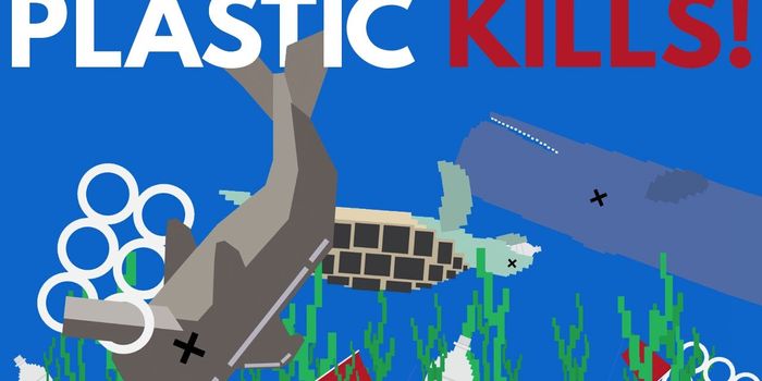 How Plastic Kills