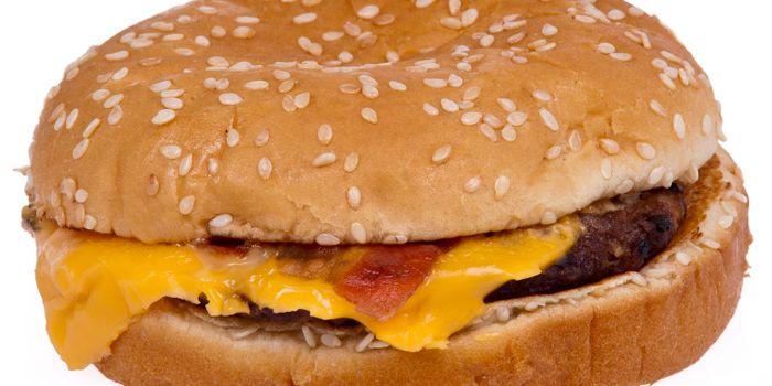 A Fatty Meal Alters Intestinal Cells