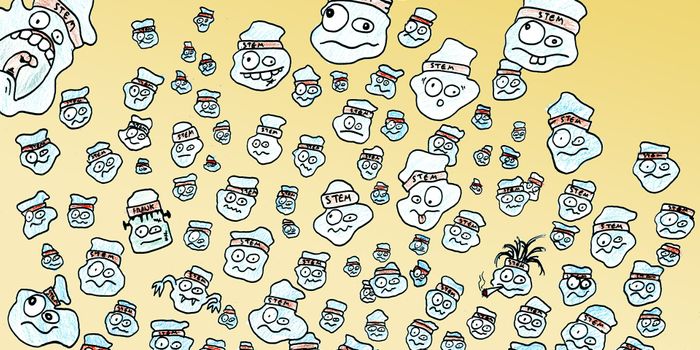 Manufacturing Stem Cells From Ordinary Cells