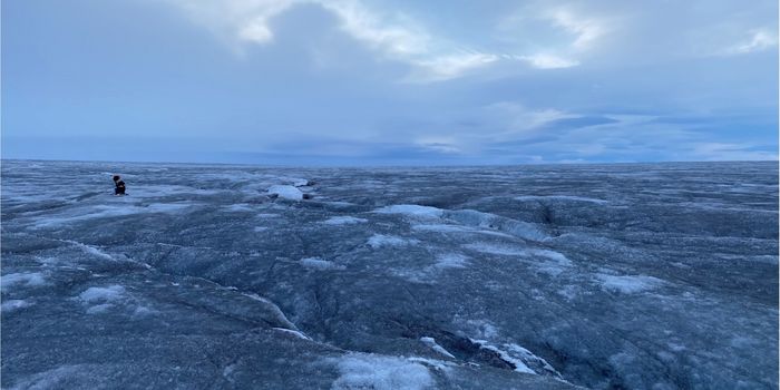 The Ice Caps are Covered in Microbes