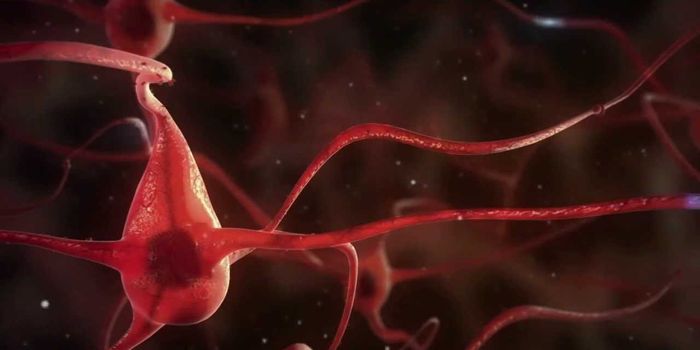 Mechanisms and secrets of Alzheimer's disease