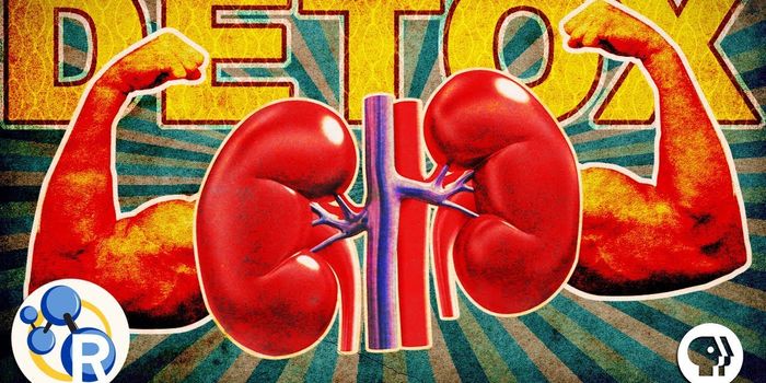 The Natural Way Your Body Can "Detox"