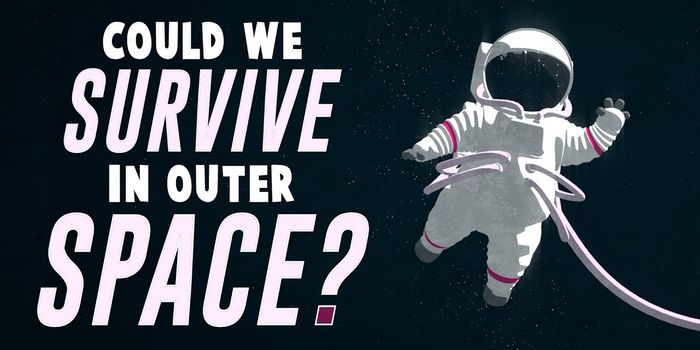 Can Humans Survive in Space?