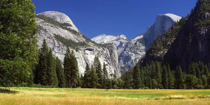 A Huge Restoration Project is Underway at Yosemite National Park