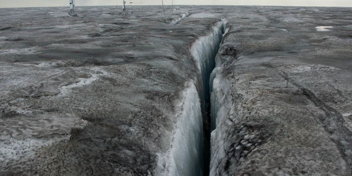 More algae = more melting for Greenland's ice sheet