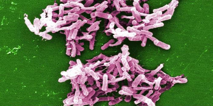 A Pathogen That Has Evolved to Spread in Hospitals