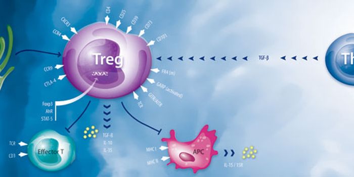 Sharpin Protein Necessary for T Regulatory Cell Function