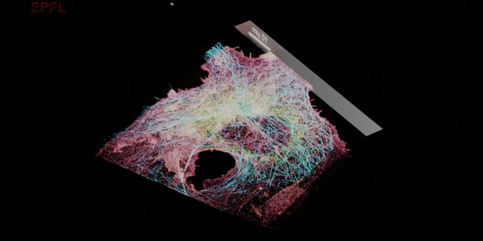 New Cell Imaging Method Sees Inside & Outside of Cell Simultaneously