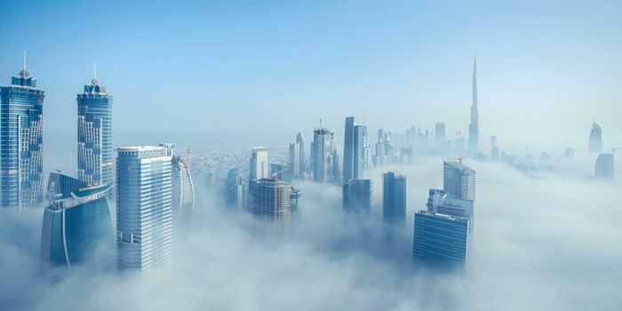 What Does Urbanization Mean for Earth?