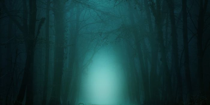 Fear Memories are Stored in Prefrontal Cortex