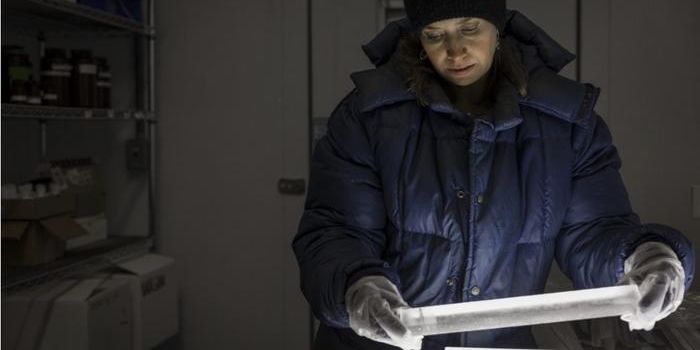 Ice Core Insights: A Comprehensive Look at Phytoplankton Trends Over 800 Years