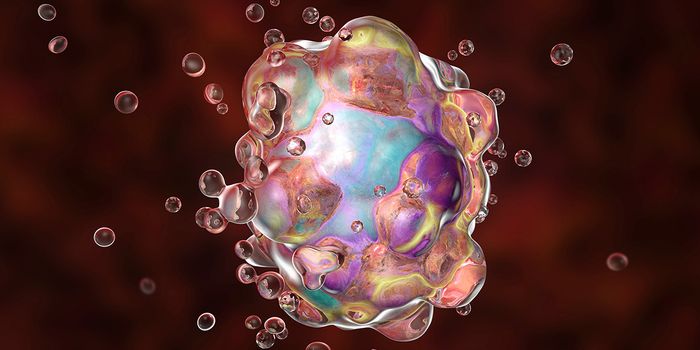 Cell Viability- Where to Begin?