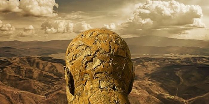 Reliving Your Dreams