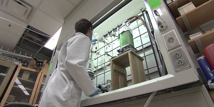 Stanley Miller's Forgotten Experiments, Analyzed