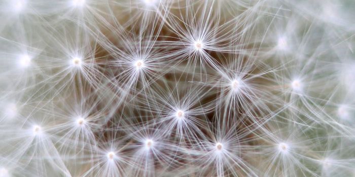 Artificial and Natural Neurons Communicate Using Dopamine