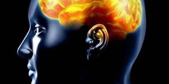 Hypertension Drug Can Prevent Epilepsy after Brain Injury