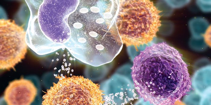 Scientists Unveil Unique Factors Contributing to Autoimmune Disease