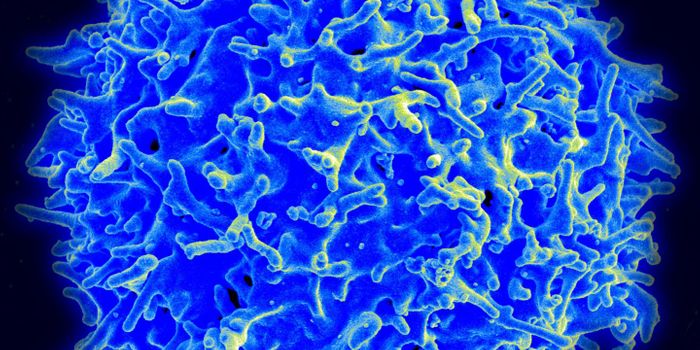 An Accidental Immune Attack Leading to Parkinson's Disease