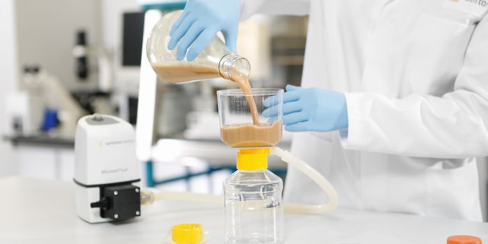 Rapid Mammalian Cell Harvest for Antibody Purification