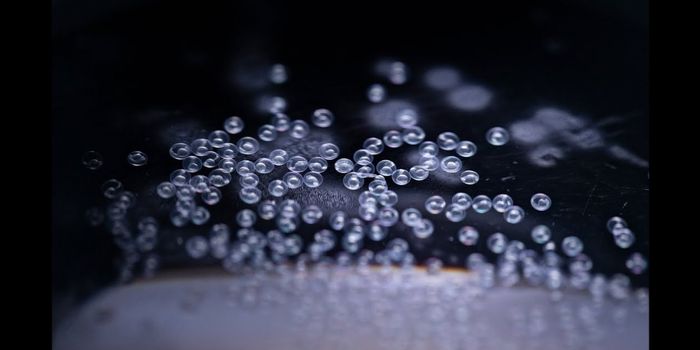 An Ancient Genetic Element can Help Fight Cancer