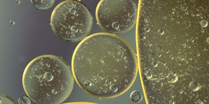 A Link Between Immune Cells in the Gut & Stress-Related Depression is Revealed