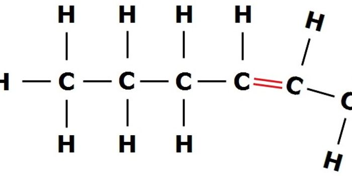 Fat makes bacteria fat