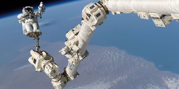 U.S. Astronauts Just Performed a Spacewalk to Repair the International Space Station's Robotic Arm