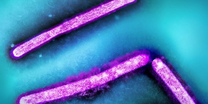 Evidence Emerges that Avian Flu is Transmitting From One Mammal to Another