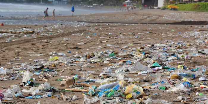 Microplastics Promote Antibiotic Resistance