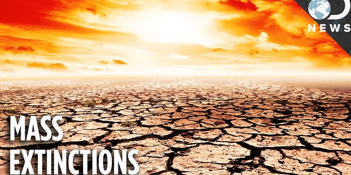 Climate Change and Mass Extinction