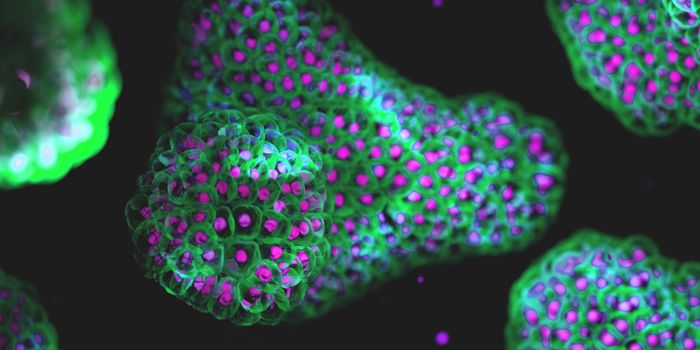 The Future of 3D Cell Analysis - From Isolation to Insight