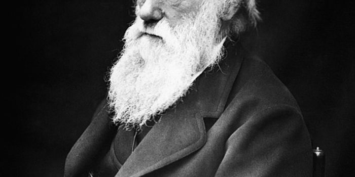 The Origins of Darwin's Evolutionary Theories on His 214th Birthday