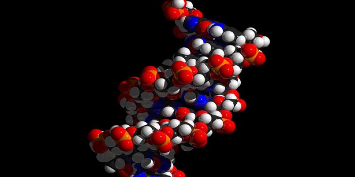 How To Choose The Right DNA Testing Kit For You