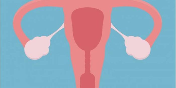 Ultrasounds Improve Diagnosis for Ovarian Cancer
