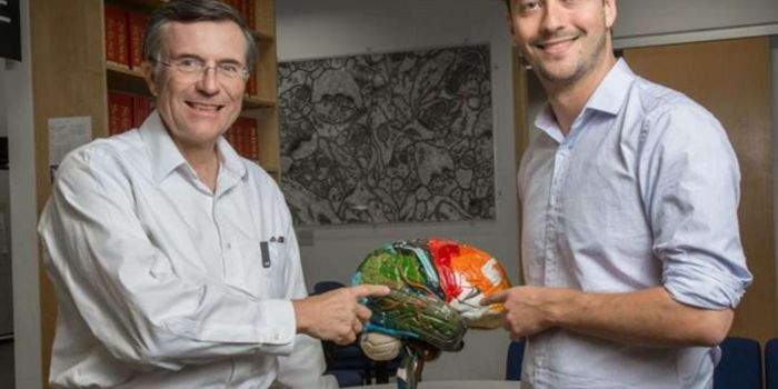 Is It The Force? Circular Brain Waves Create Memories