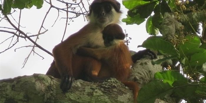 Welcome Back Baby,  It's Been So Long Since We've Seen You!