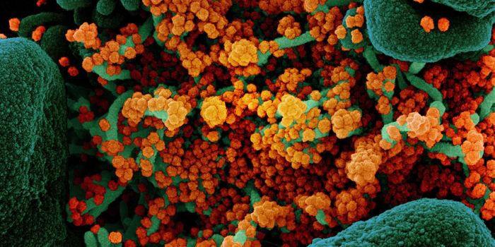 A New, Infectious Strain of SARS-CoV-2 Emerges