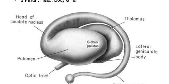 AD/HD: Is It Here To Stay?