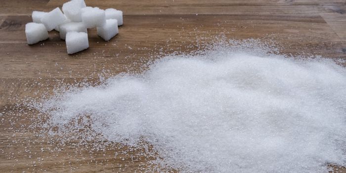 Researchers Discover a Novel Cause of Type 1 Diabetes