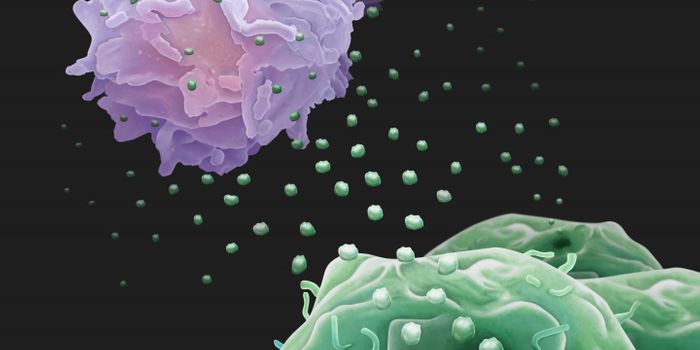 Cancer Cell 'Drones' Battle Immune System