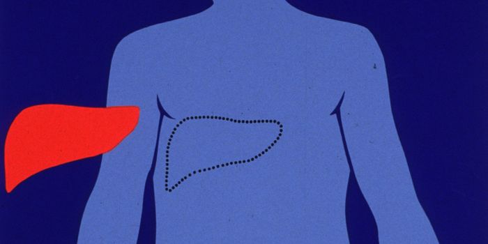 Liver Let Die: Dying Liver Cells Disclose Cancer Diagnosis