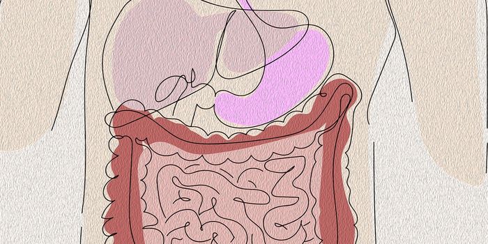 Inflammatory Bowel Disease Drives Colorectal Cancer