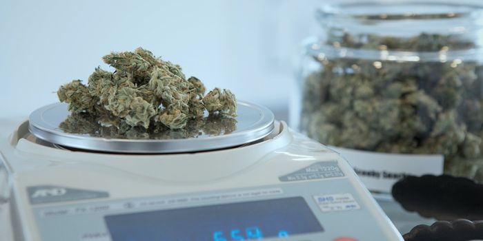 60 Percent of Texans Using Cannabis Prefer it Over Conventional Drugs