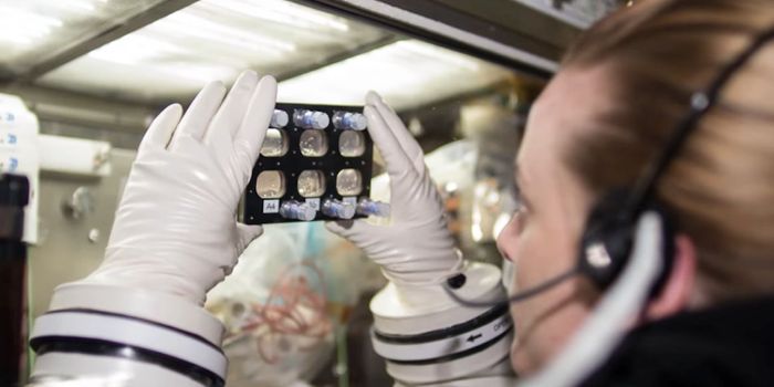 Space-Born Stem Cells: A New Frontier in Regenerative Medicine