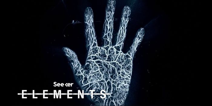 What is Photoacoustic Imaging?