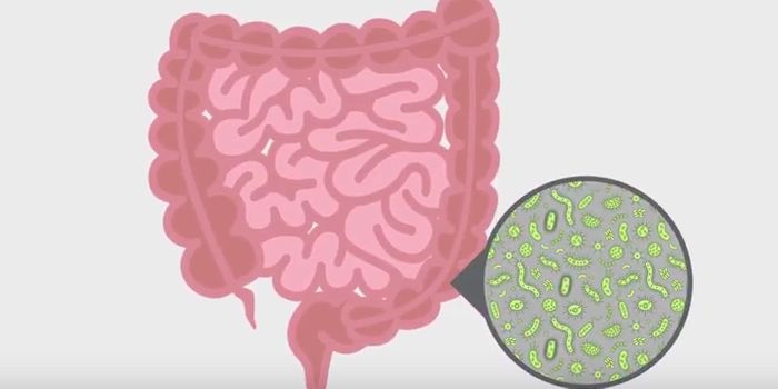 IBD Gut Microbiomes are Quite Volatile Compared to Healthy Ones