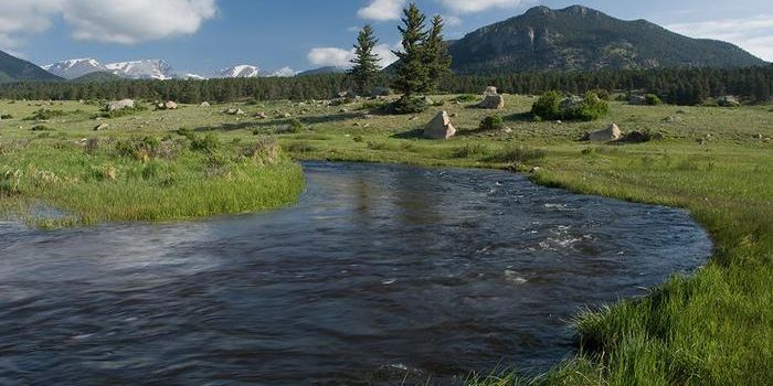 Carbon Financing as a Mechanism for Climate Change Mitigation