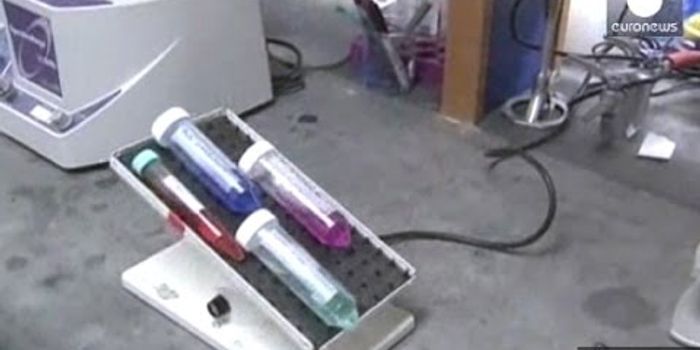 Humans Test New Ebola Vaccine After Promising Monkey Trials