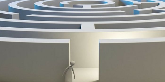 A New Area for Spatial Memory and Navigation is Found